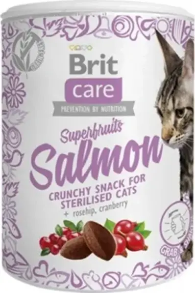 Brit Care Snack Superfruits Salmon 100 g