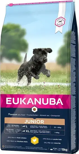Eukanuba Developing Junior Large 15 kg