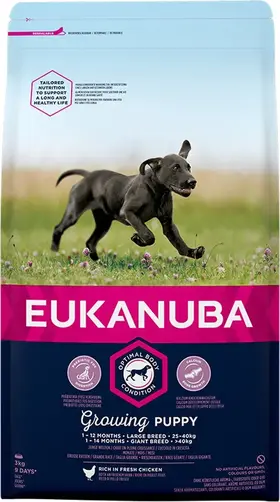 Eukanuba Growing Puppy Large Chicken 3 kg
